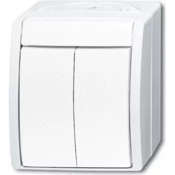 BUSCH-JAEGER seeria lüliti 2601/5W-54 ocean Alpine Valge IP44 klapplüliti 2601/5W-54 (1085-0-1621)
