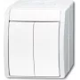 BUSCH-JAEGER seeria lüliti 2601/5W-54 ocean Alpine Valge IP44 klapplüliti 2601/5W-54 (1085-0-1621)