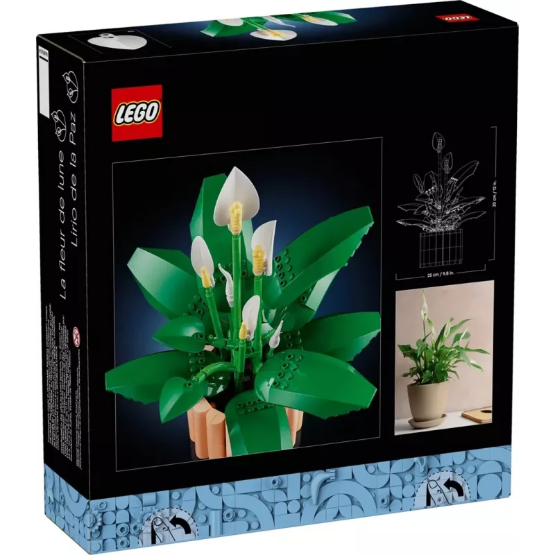 LEGO BOTANICALS 11504 Rahuliilia