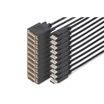 Digitus DisplayPort – DVI adapterkaabel, pakis 10 tk