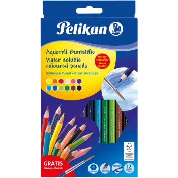 Värvipliiatsid Pelikan 700672 12 tk Must Sinine Pruun Roheline Hele-sinine Heleroheline Oranž Virsik Roosa Punane Violetne Kollane