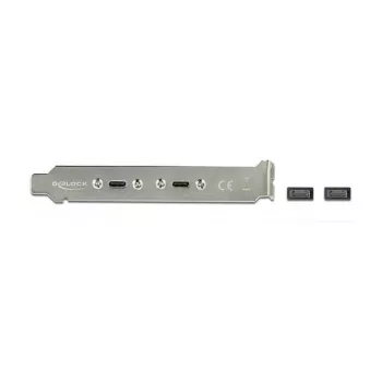 Pesa kronstein DeLOCK 89935 kahe USB USB-C pordiga