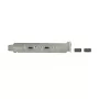 Pesa kronstein DeLOCK 89935 kahe USB USB-C pordiga