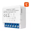 Wi‑Fi nutilüliti Avatto WSM16‑W1 — kaugjuhtimine koduautomaatikaks