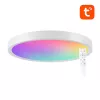 Nutikas laelamp 30 cm WiFi/Bluetooth 16M RGBCW Gosund LB12 1920lm Tuya + kaugjuhtimispult.