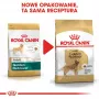 ROYAL CANIN BHN Golden Retriever kuiv koeratoit - 12kg