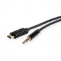 ROLINE Adapter USB-C auf Klinkenstecker - USB-C männlich umkehrbar zu Stereo Mini-Klinkenstecker männlich