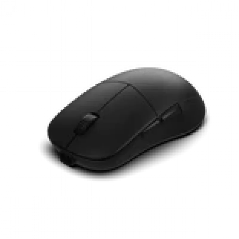 Endgame Gear XM2w 4k v2 mängurihiir, 4 000 Hz