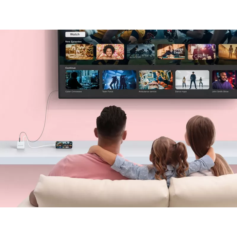 AVerMedia GC313 universaalne valge AC kiirlaadimine siseruumides