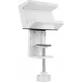 SpeaKa Professional universaalne klamberkinnitus pikendusjuhtmele SP-PSH-001 SP-13403152 Valge 1 tk (SP-13403152)