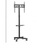 Mobile TV Stand MONTIS MT191 ATLAS for 26–60 inch screens, max load 35 kg, VESA up to 400x400