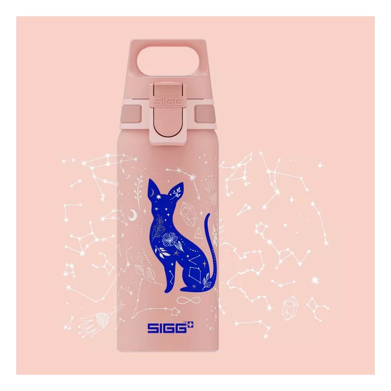 Alumiiniumist joogipudel Sigg 6005.10 — 600 ml, 7,1 cm läbimõõt, 145 g, sinine/roosa