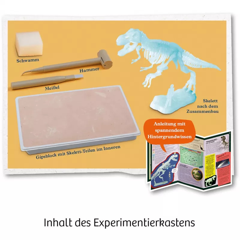 Kosmos T-REX, liitreaalsus, 7 a, Roheline Kosmos T-REX. Tüüp: liitreaalsus, Soovitatav vanus (min): 7 a, Toote värv: Roheline