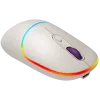 CANYON hiir MW-22 2-in-1 BT/Wireless Rice