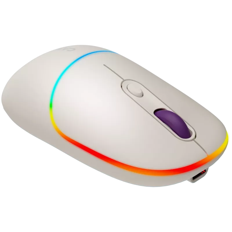 CANYON hiir MW-22 2-in-1 BT/Wireless Rice