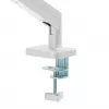 Monitorialus Gembird MA-DA1-04-W klemmalus 17–32-tollistele ekraanidele, VESA 75x75–100x100, maksimaalne koormus 10 kg, valge