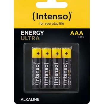 Intenso leelispatareid Micro AAA 1,5 V [4 tk] (7501414)