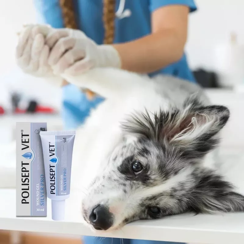 Haavageel JM Sante Polisept Vet Silver Pro 30 ml — paikne haavahooldus koertele ja kassidele, 30 ml tuub