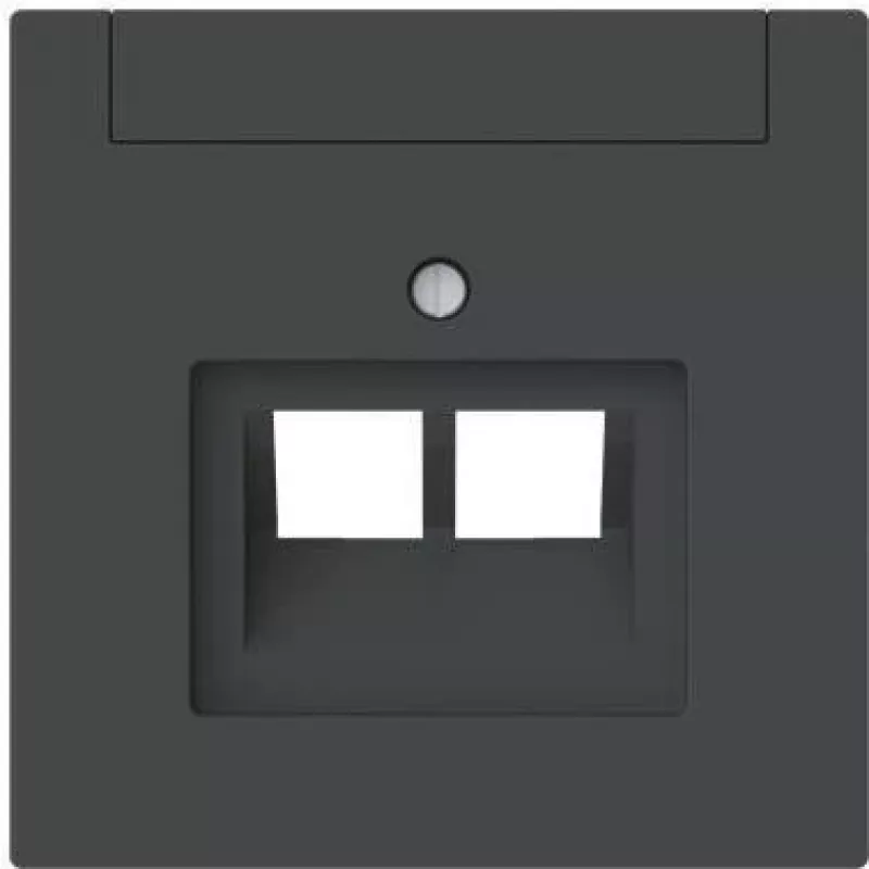 BUSCH-JAEGER 1803-02-45M Zentralscheibe 2-fach UAE Beschriftungsf (2CKA001710A4230)