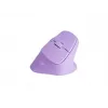 NATEC Crake 2 hiir Universaalne Paremakäeline RF-juhtmevaba + Bluetooth Optiline 2400 DPI