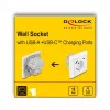 DeLOCK 11499 pistikupesa tüüp F koos USB-A ja USB-C-ga, valge