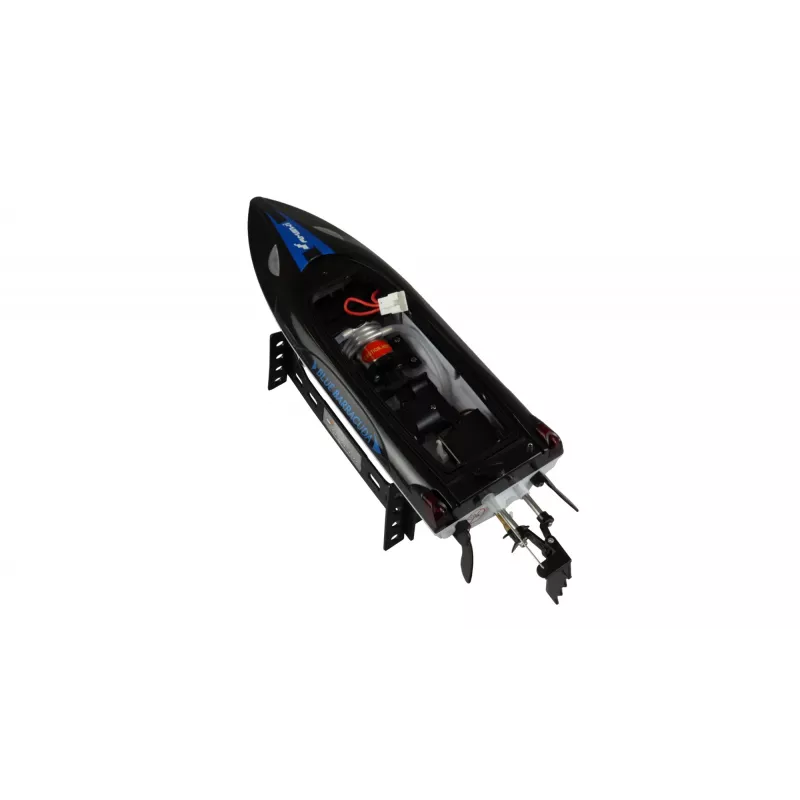 Paat Amewi Blue Barracuda V2