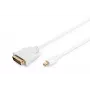 Kaabel DisplayPort 1.1a mini DP-DVI tüüp MM 2,0m