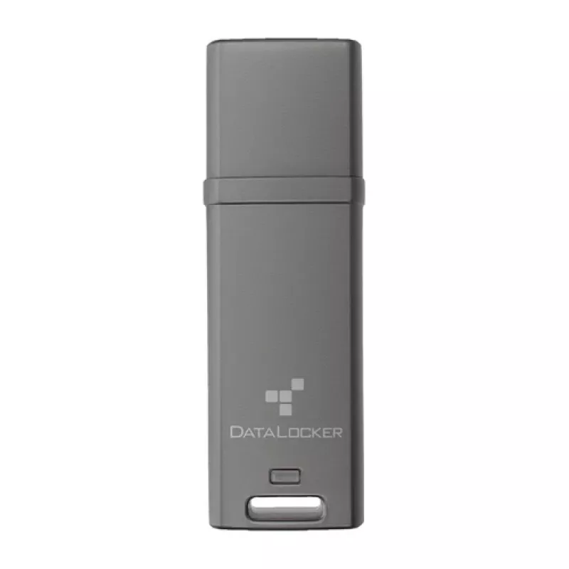 DataLocker 4 GB DL GO 256BIT USB 3.2 gen 1 – Välkmälu – sortimendis (DLGO-004)