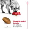 Royal Canin Maxi Adult kuivtoit koertele, 15 kg