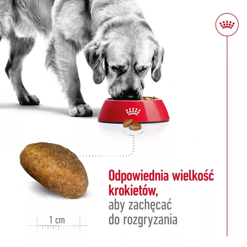 Royal Canin Maxi Adult kuivtoit koertele, 15 kg
