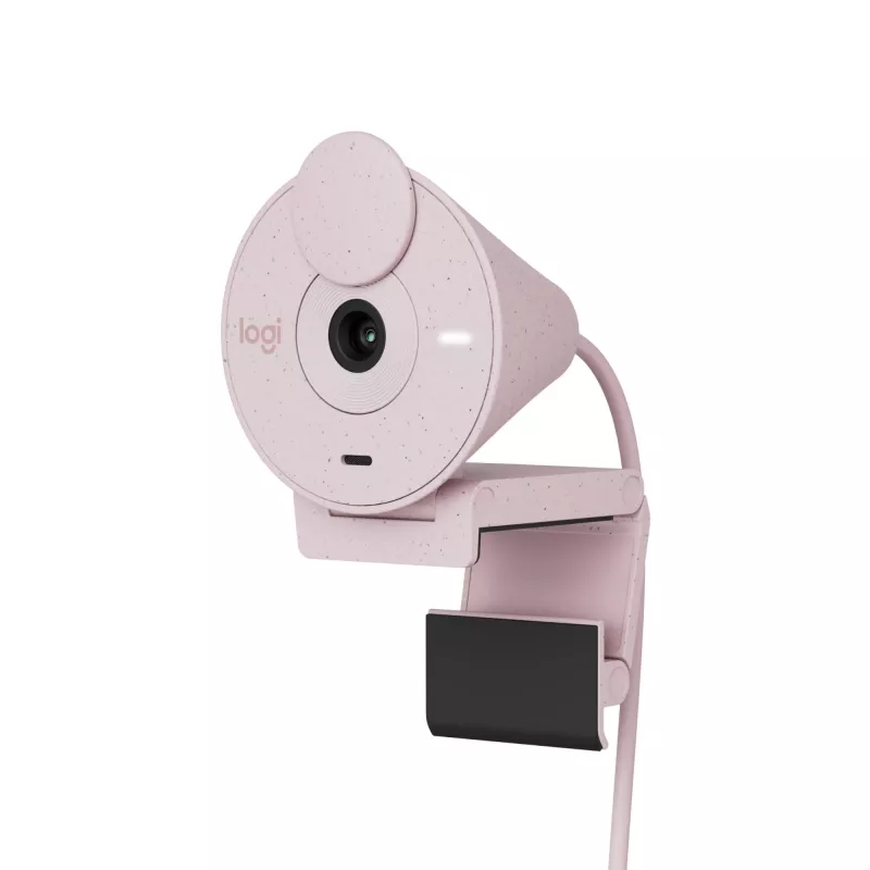 Veebikaamera Logitech Brio 300 2MP Full HD USB-C roosa
