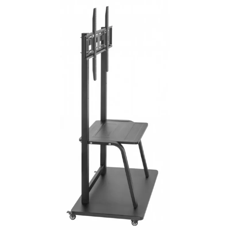Gembird TVS-100F-01 põrandaalus ekraanidele 2.54 m (100) Must