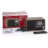 DABMAN i110 WLAN-internet-raadio + meediapleieri funktsioon. Puit