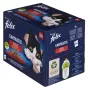 Felix Fantastic maitsed maal - märgtoit kassidele - 24x 85g