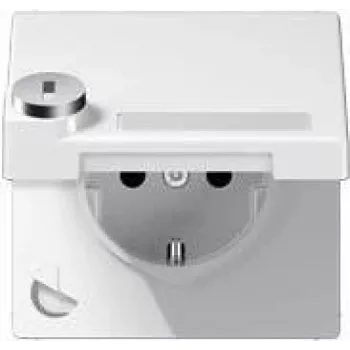 JUNG LS 1520 NAKLSL WW - tüüp F - 1 moodul(it) - 2P - valge - termoplast - IP44