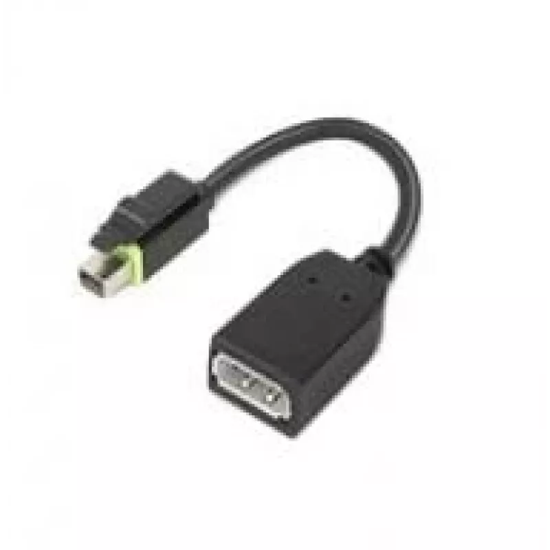 Lenovo 4X90Q93975 videokaabli adapter Mini DisplayPort DisplayPort Must
