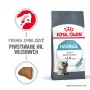 Kuiv kassitoit Royal Canin Hairball Care Adult 2 kg — kana, 34% valku, 15% rasva