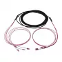 Synergy 21 LWL-kaabel Trunk kaabel U-DQ ZN BH 4G 50/125 LC/LC OM4 10m Ring - kaabel - mitmerežiimiline kiud