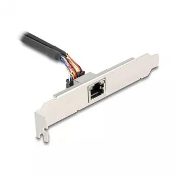 DeLOCK 95268 sisemine RJ-45 adapter Mini PCI Express 2,5 Gbit/s