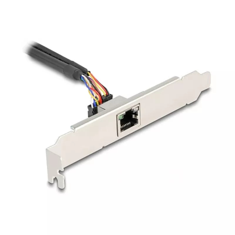 DeLOCK 95268 sisemine RJ-45 adapter Mini PCI Express 2,5 Gbit/s