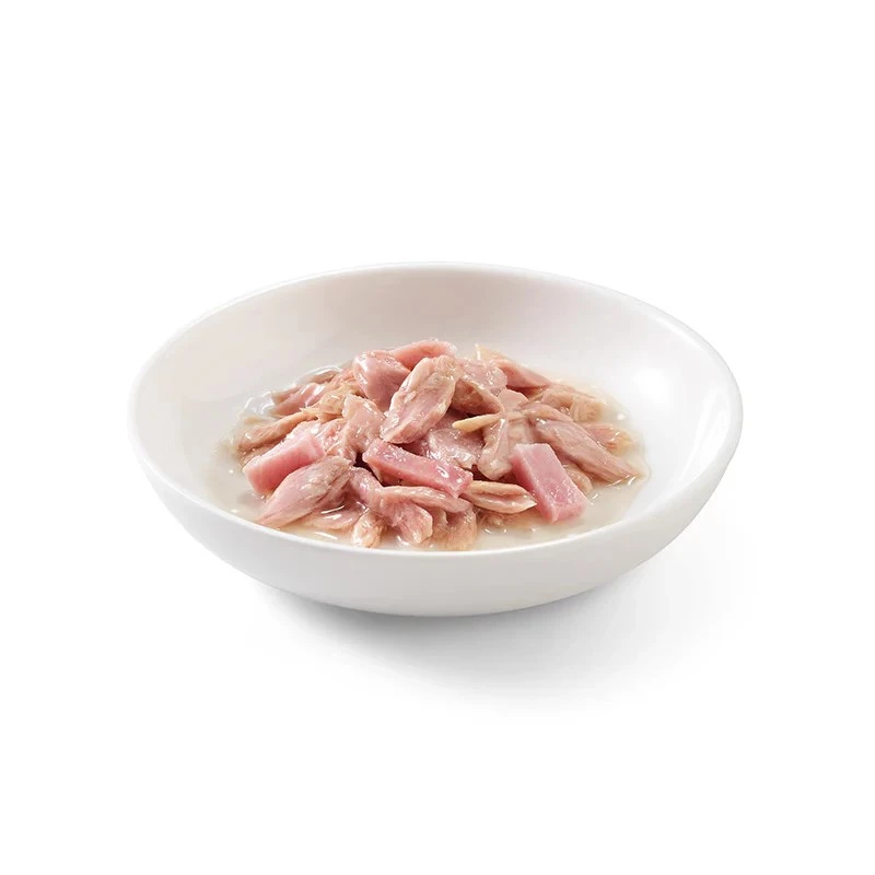 SCHESIR tuunikala singiga puljongis - märg kassitoit - 140g