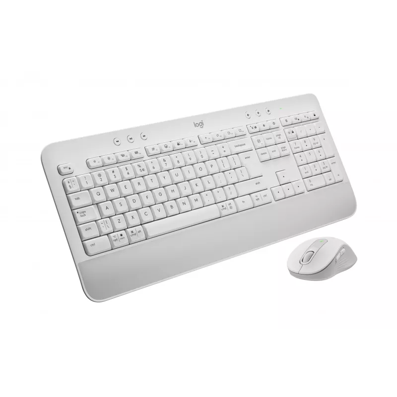 Logitech Signature MK650 for Business - klaviatuuri ja hiire komplekt - juhtmevaba - 2,4 GHz, Bluetooth LE - QWERTZ - tšehhi - valkjas