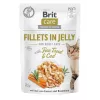 Märg kassitoit kotikestes Brit Care FJ Flavour Box tarretises 12 x 85 g
