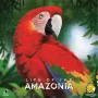 Life of the Amazonia, lauamäng