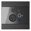 AUDAC WP225/B Seinapaneel, XLR-mikrofon + 3,5 mm pesa, Bluetooth, must