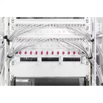 Täitepaneel Digitus DN-19 BPN-02