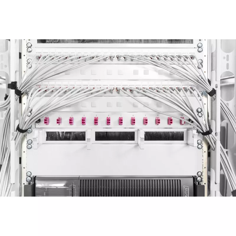 Täitepaneel Digitus DN-19 BPN-02