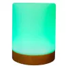 Ambient light RealPower 200 RGB with remote control