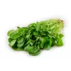 Watercress Toraf köögiviljaseemned, 0,2 g pakend