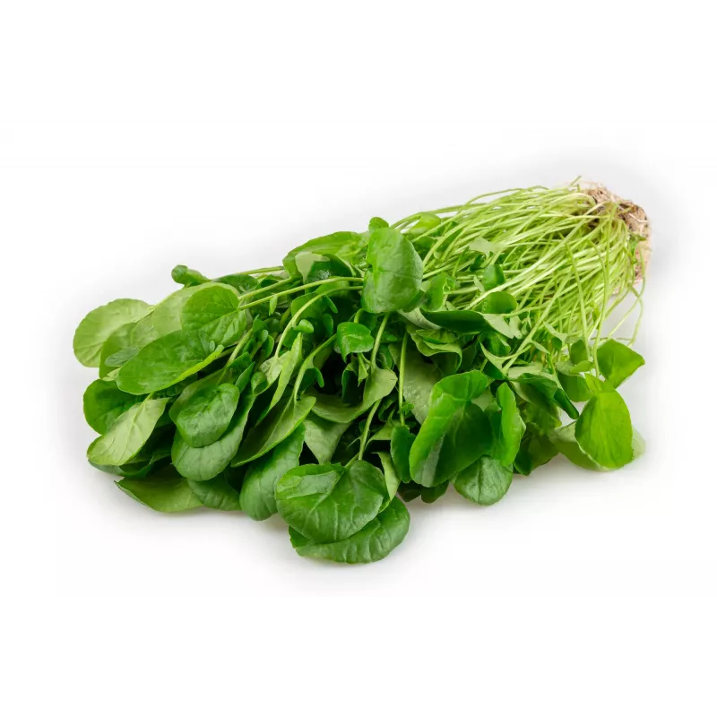 Watercress Toraf köögiviljaseemned, 0,2 g pakend